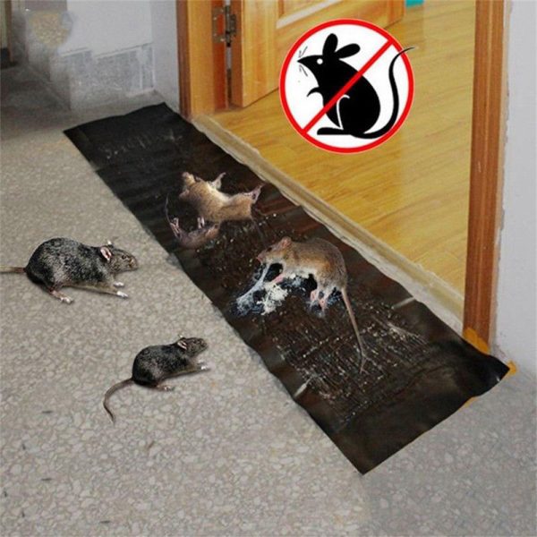 Imported Sticky Mouse & Rat Trap Sheet with Powerful Stickiness & Highly Adhesive Bond