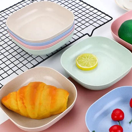 Buy 5 Get 5 Free Sale Offer - Imported 10 Pcs Set of Dish Plates with Free Holder in Rs 999 Only - Trendy and Stylish