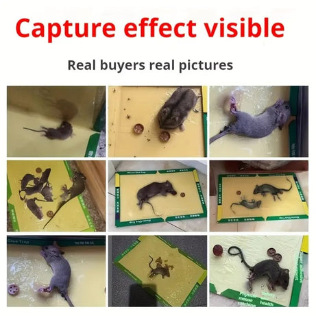 (Pack of 10) Sticky Glue Mouse Trap Book Essential Rat Catcher For Home and Dorm Cleaning