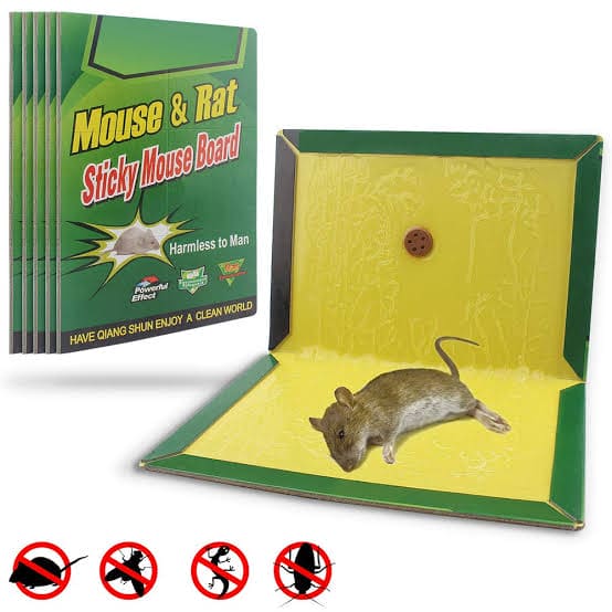 Rat Killer Glue Board